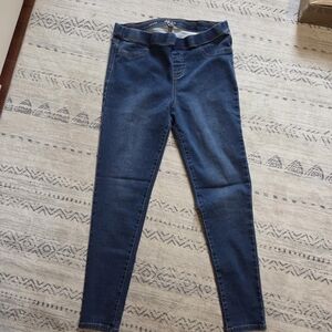 Style & Co. Dark Blue Women's Jeggings